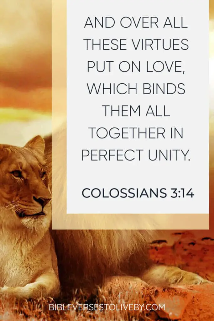 32 Bible Verses About Unconditional Love 4